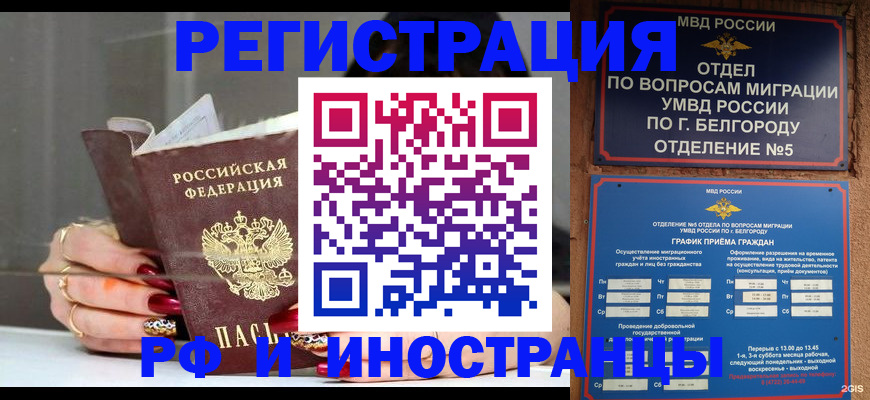 прописка в Ясногорске